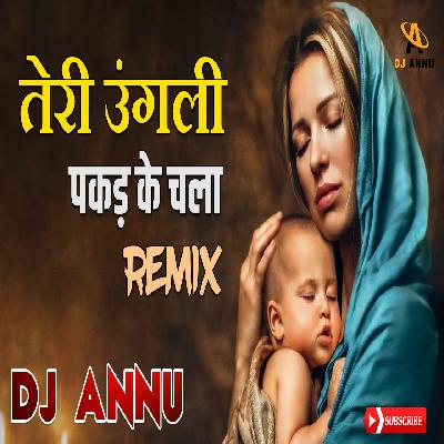 Teri Ungali Pakad Ke Chala - DJ Remix Song  DJ Annu
